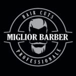 logo berbi